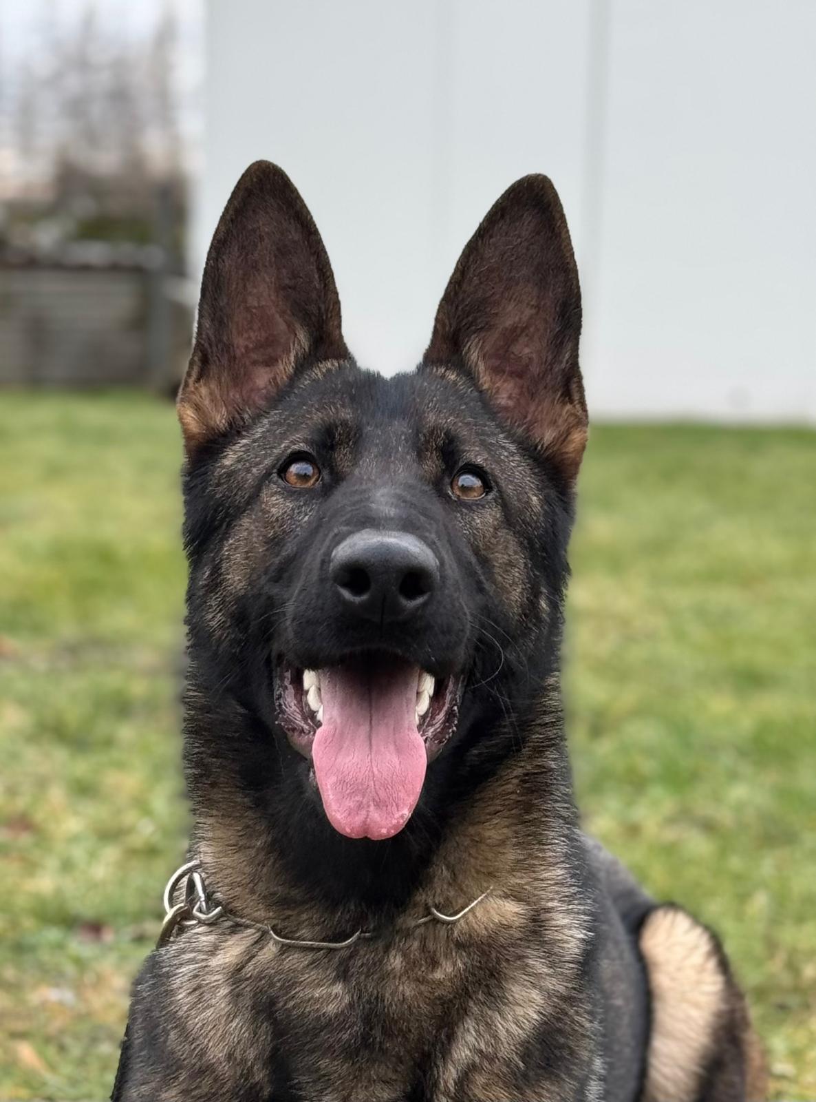 Anouk vom Kaiserschacht